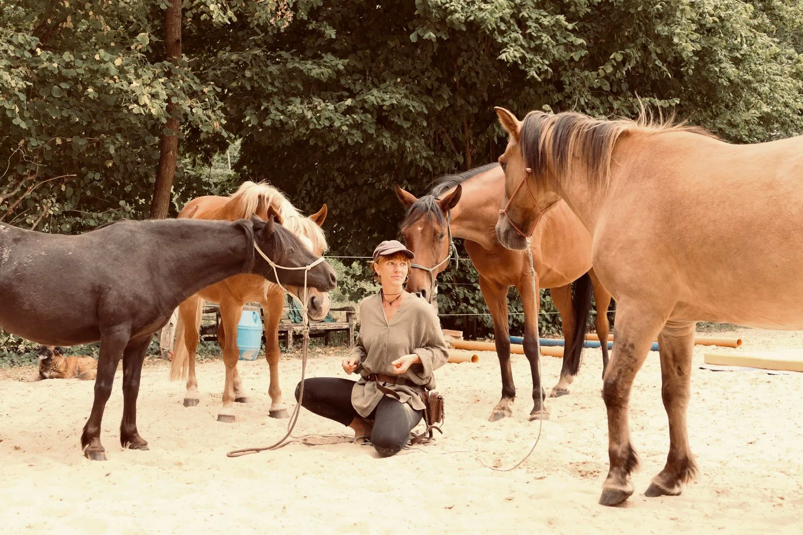 Zoe Fröhlich hockt auf dem sandigen Reitplatz zwischen vier Pferden mit Knotenhalftern und schaut eines von ihnen aufmerksam an