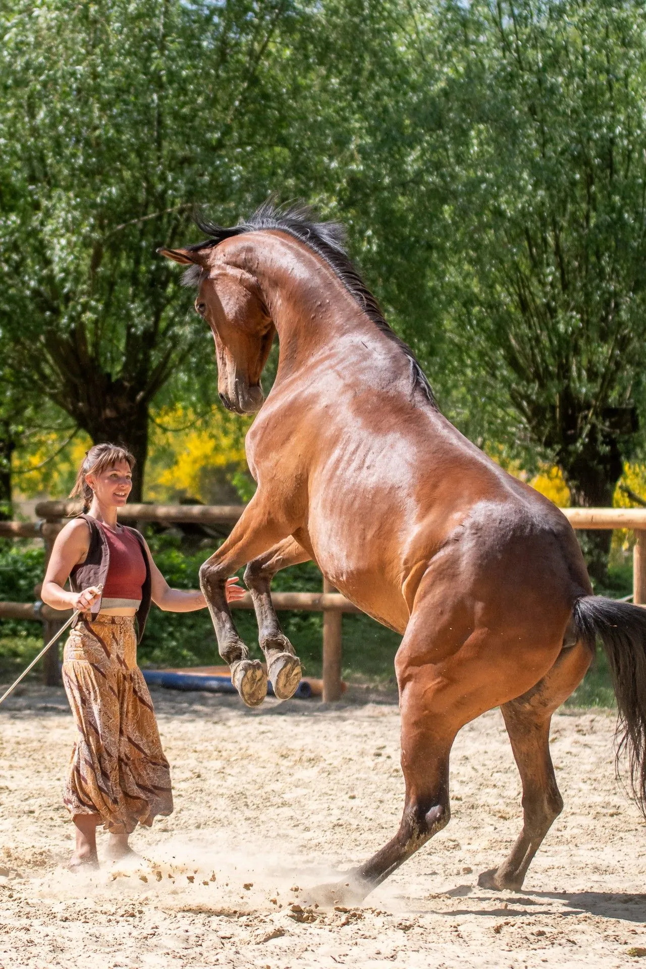Zoe Fröhlich lächelt bei der Freiarbeit auf dem Reitplatz, während ein braunes Pferd vor ihr auf die Hinterbeine steigt